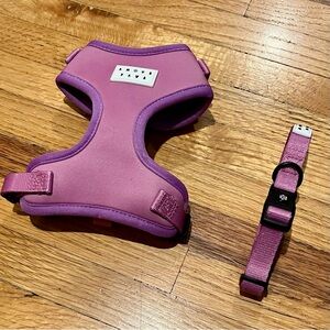 NWOT Pink and Purple Dog XXS Harness and XS Collar Set